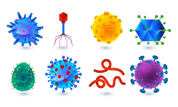 Vector colección de diferentes formas de virus y bacterias.