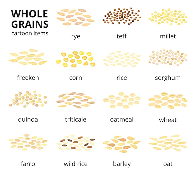 Vector colección de diferentes granos de cereales enteros de dibujos animados aislados sobre un fondo blanco con nombres