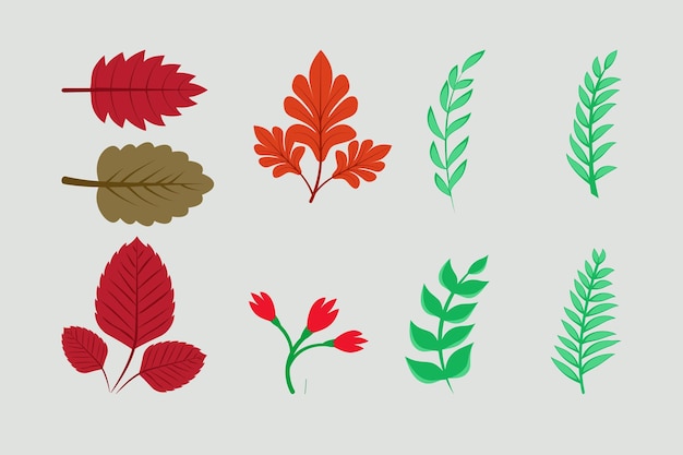 Una colección de diferentes hojas para un diseño de otoño.