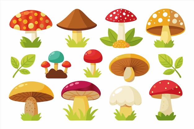 una colección de diferentes hongos y plantas, incluidos los hongos