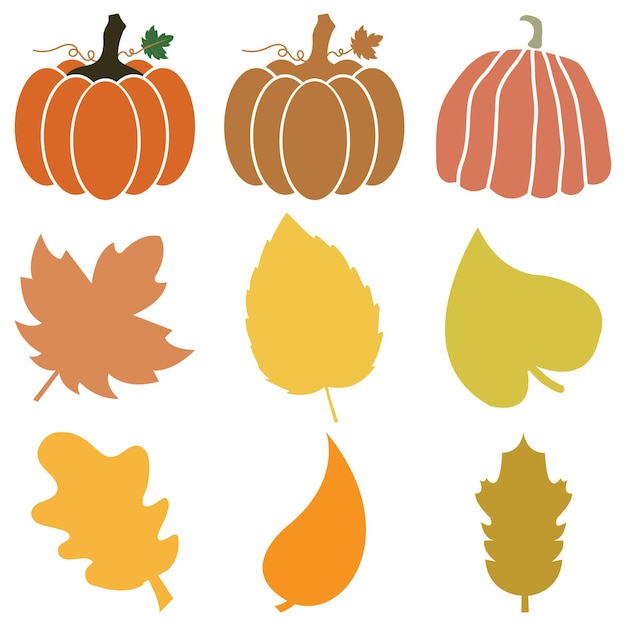 una colección de diferentes imágenes de calabazas y hojas