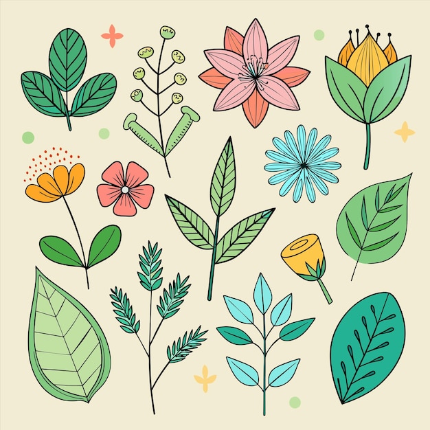 una colección de diferentes plantas y flores