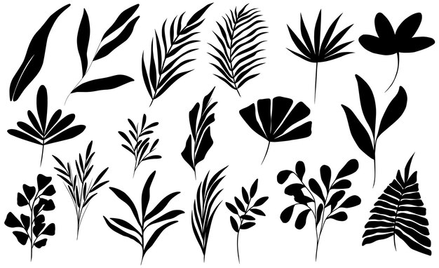 Colección de diferentes siluetas negras hojas sobre fondo blanco arte vectorial