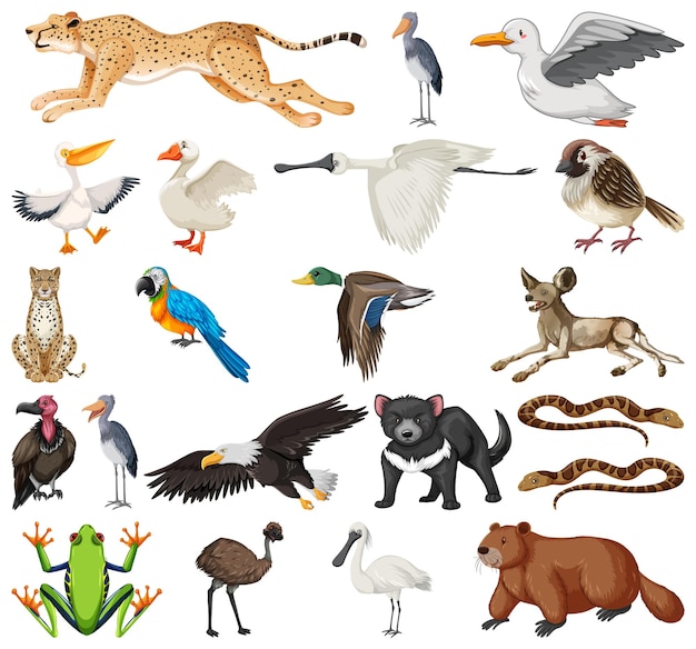 Vector colección de diferentes tipos de animales.