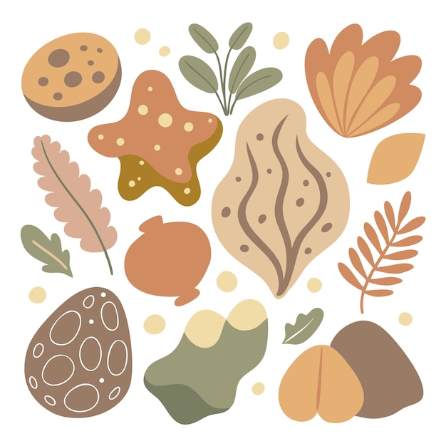 una colección de diferentes tipos de frutas y verduras