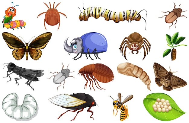 Colección de diferentes tipos de insectos.