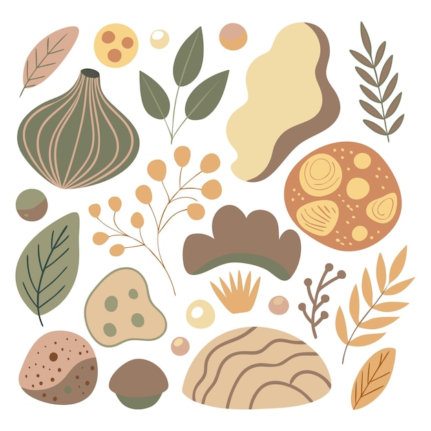 una colección de diferentes tipos de plantas y animales