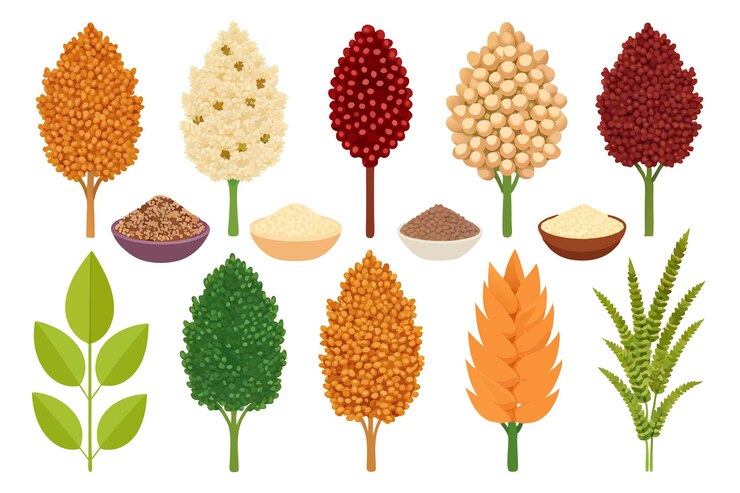 Vector una colección de diferentes tipos de plantas, incluida una que tiene la palabra "pils" en ella