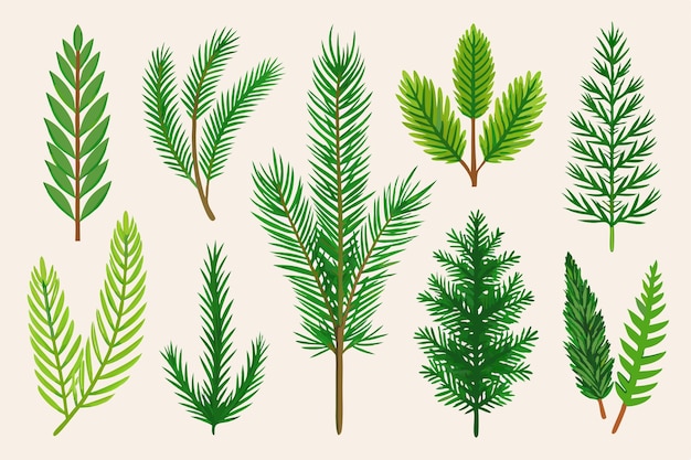 una colección de diferentes tipos de plantas