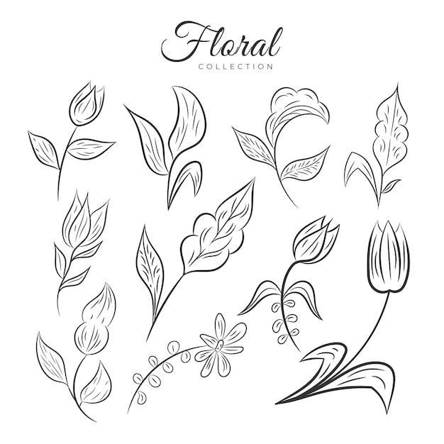 Colección de diseño de adornos de hojas florales