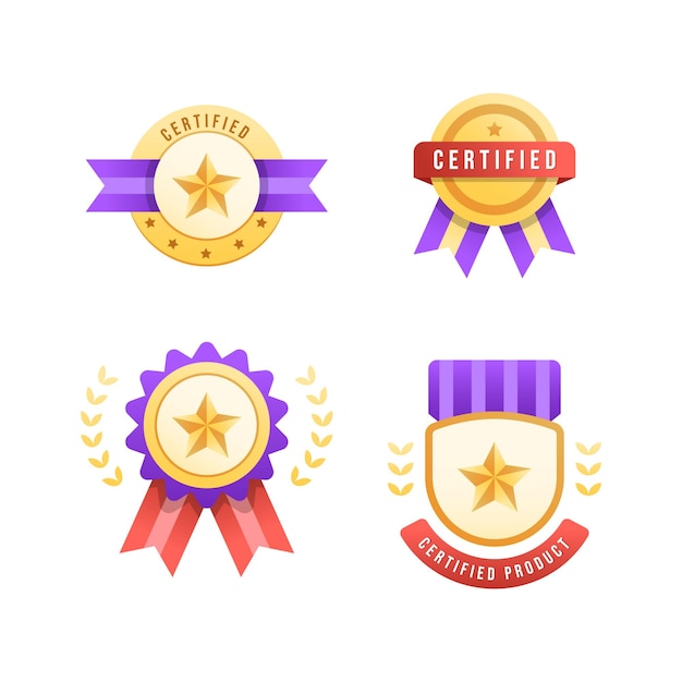 Vector colección de diseño de insignia de certificado moderno