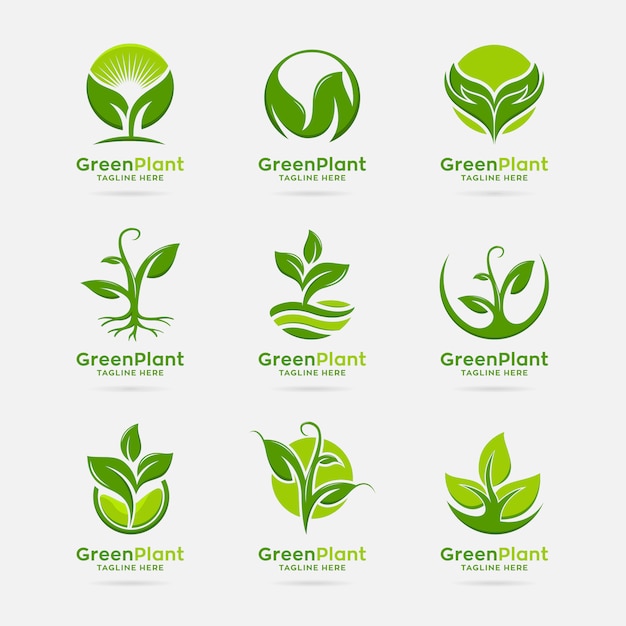 Vector colección de diseño de logo de planta verde.