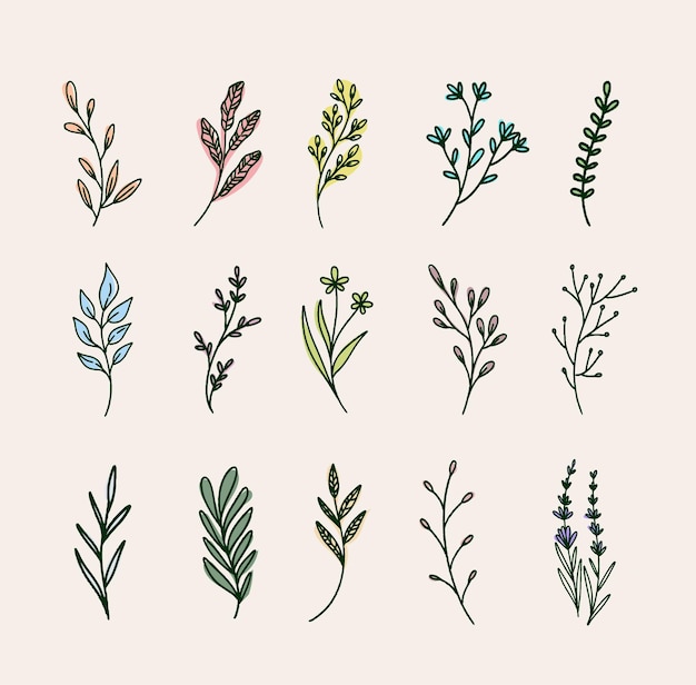 Colección de diseño plano de contornos de flores