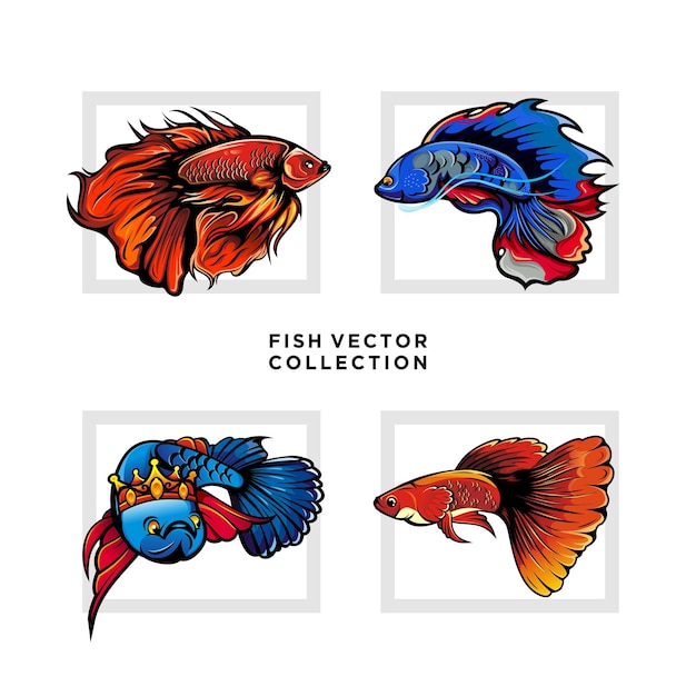 Vector colección de diseño premium de vector de pescado