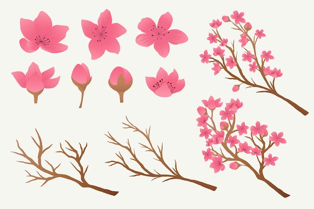 Colección de diseño de ramas y flores de sakura degradado