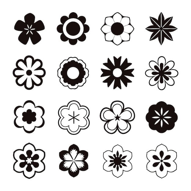 Colección de diseños y patrones florales en blanco y negro