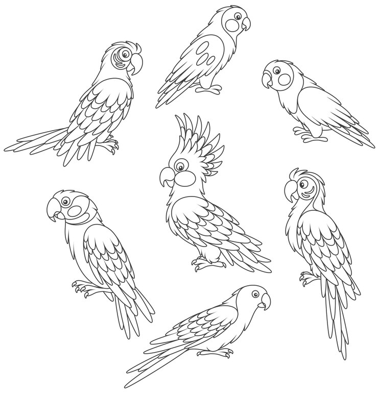 Vector colección de divertidos loros tropicales