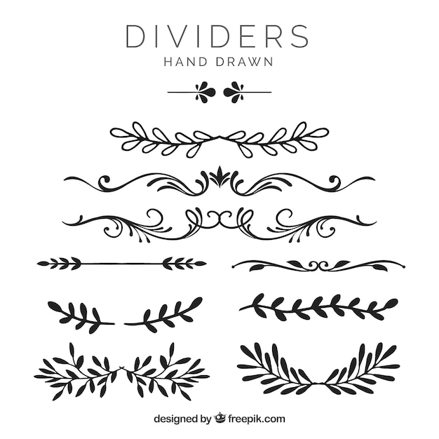 Vector colección de divisores con elementos florales