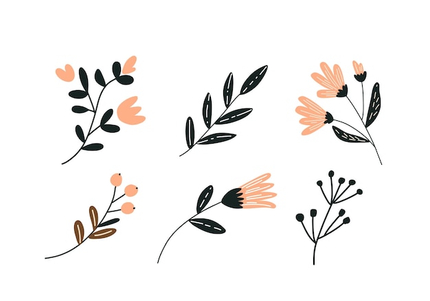 Colección de elegantes elementos florales botánicos para el diseño