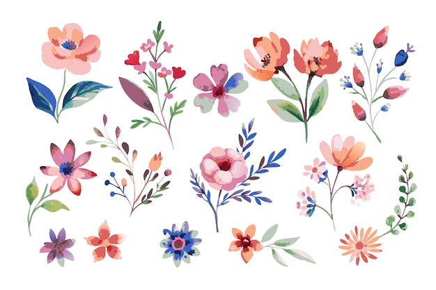 Colección de elementos de acuarela floral silvestre