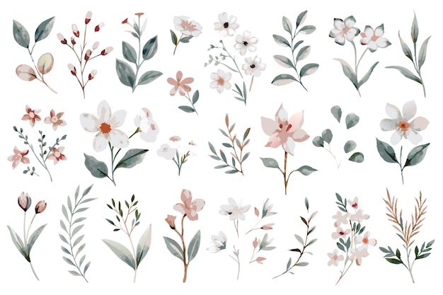Colección de elementos de acuarela floral silvestre