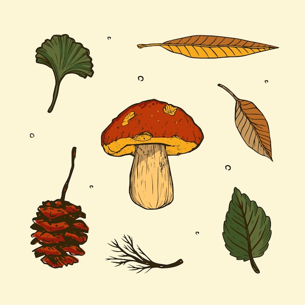 Colección de elementos dibujados a mano para la celebración de otoño