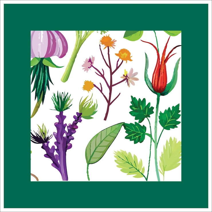 Vector colección de elementos florales y botánicos vector conjunto de follaje de hojas flores silvestres plantas florecen