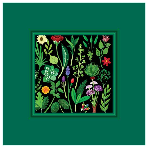 Colección de elementos florales y botánicos vector Conjunto de follaje de hojas flores silvestres plantas florecen
