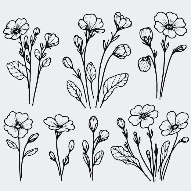 Colección de elementos florales dibujados a mano en estilo de arte de línea