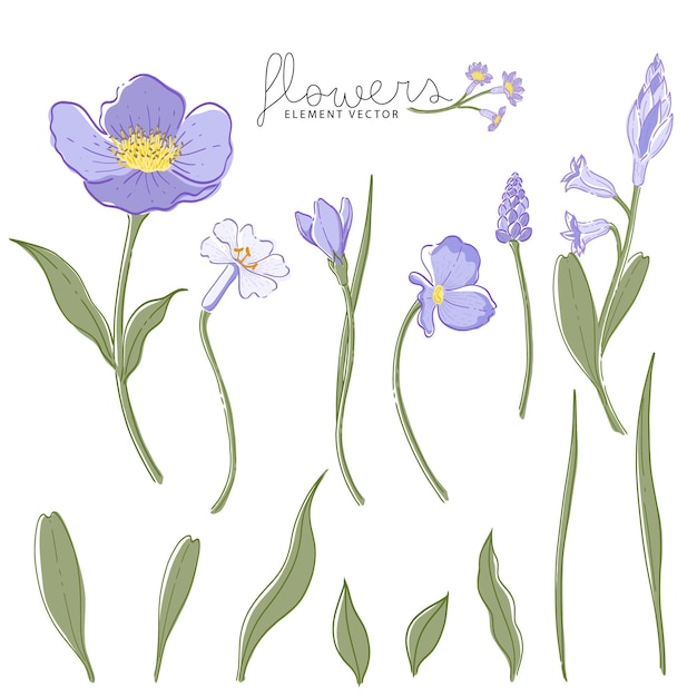 Colección de elementos florales dibujados a mano