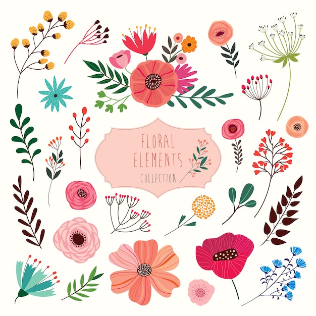 Colección de elementos florales. Una gran colección de flores y plantas.