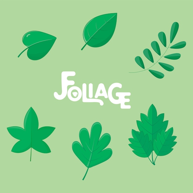 Colección de elementos de follaje vectorial