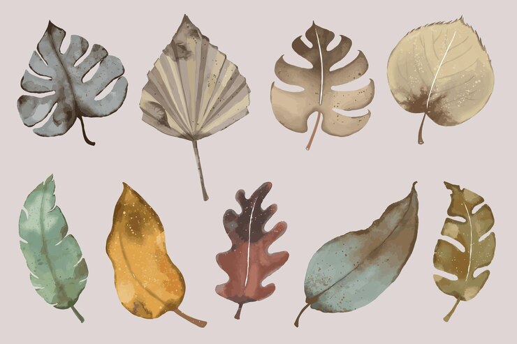 Vector colección de elementos de hojas de acuarela