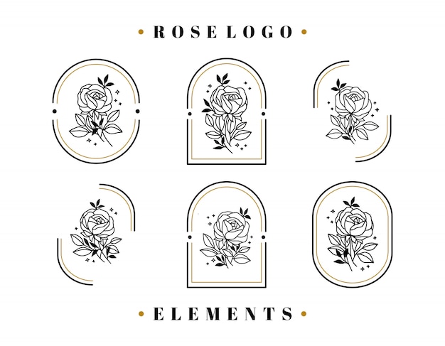 Colección de elementos de logotipo de flor color de rosa dibujado a mano