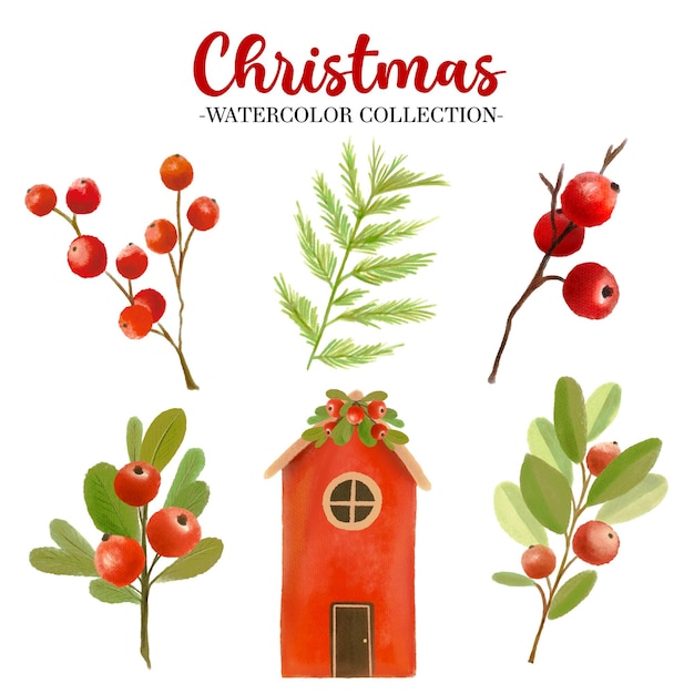 Colección de elementos navideños de acuarela Baya roja y muérdago