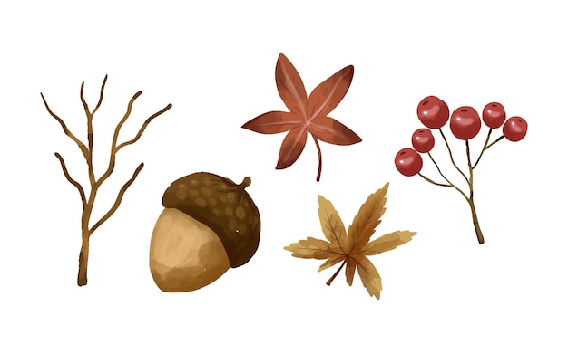 colección de elementos de otoño acuarela vectorial