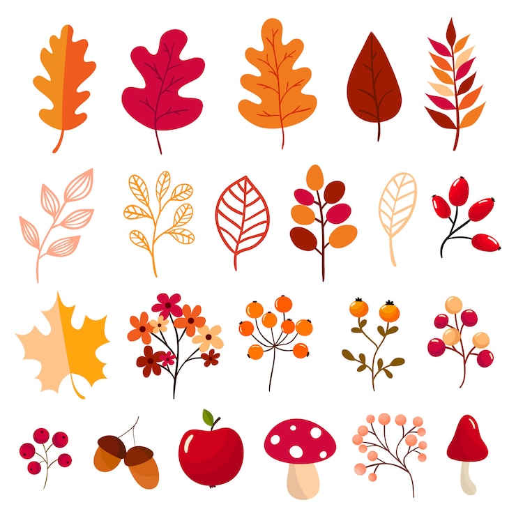 Vector colección de elementos de otoño