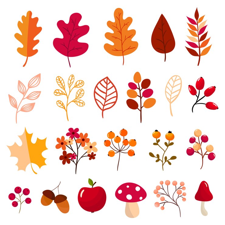 Vector colección de elementos de otoño