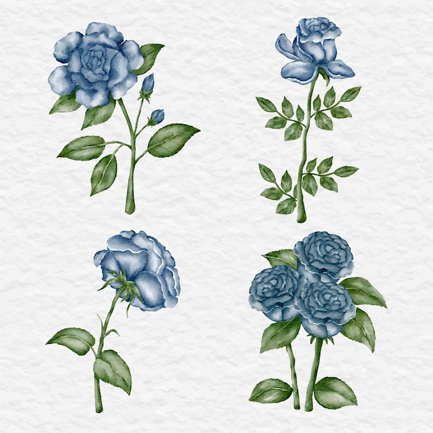Colección de elementos de rosa azul acuarela