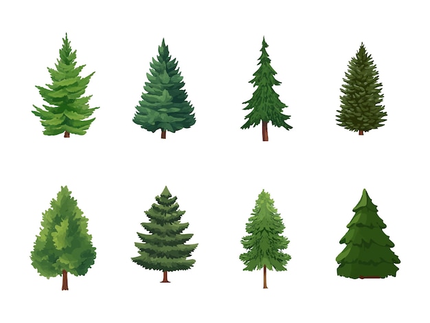 Colección de elementos vectoriales de pinos dibujados a mano