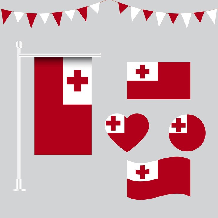 colección de emblemas e iconos de la bandera de Tonga en diferentes formas