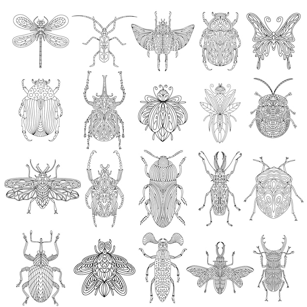 Una colección de escarabajos e insectos en un estilo lineal Ilustración vectorial lineal