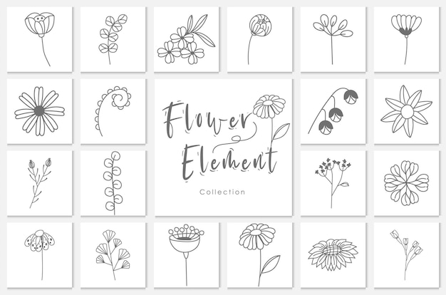 Colección flor elemento lineart ilustración