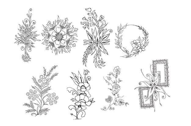 Colección floral acuarela vectorial