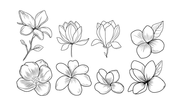 Colección floral de arte de línea Esbozos de flores de magnolia y plumeria