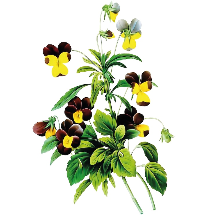 Vector colección floral. decoración de flores ilustración de flores, hojas, ramas rojas y rosas de durazno