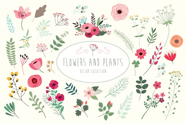 Colección floral dibujada a mano con diferentes flores y hojas.