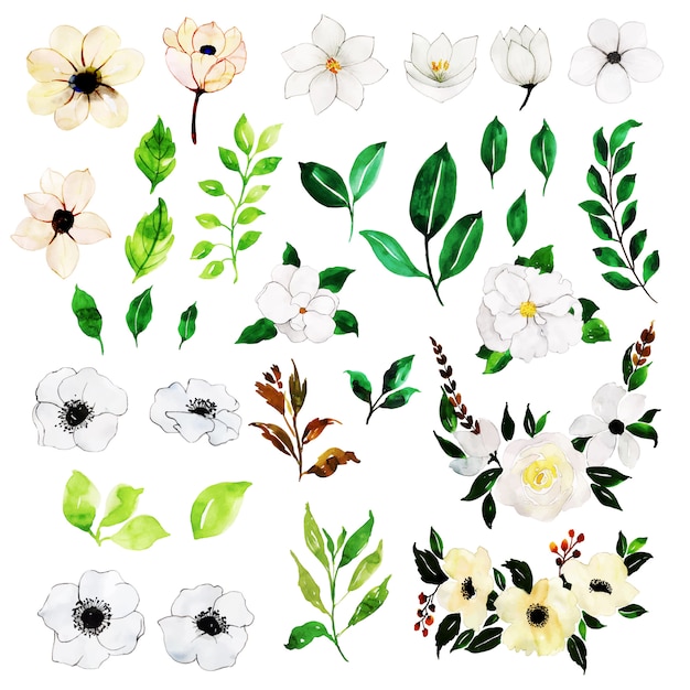 Colección floral y elementos de hojas de primavera de acuarela