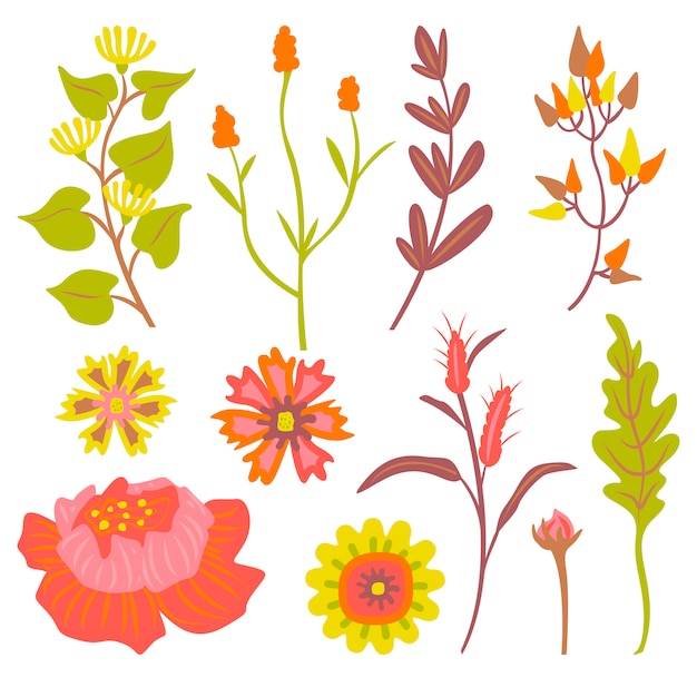 Vector colección floral otoñal