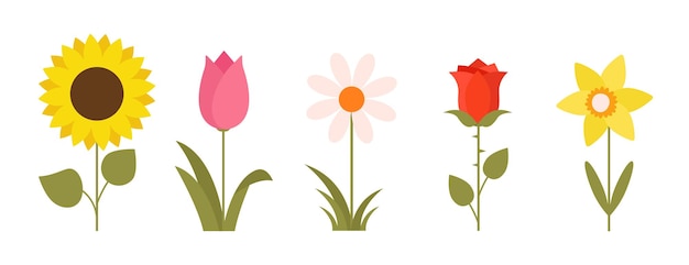 Colección floral plana Flores minimalistas coloridas para el diseño de primavera y verano